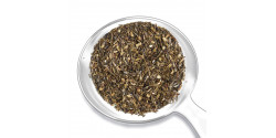 ROOIBOS VERT